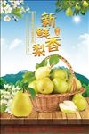 香梨