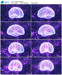 紫色高科技X光大脑光线动态背景