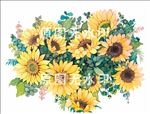 向日葵花艺盛开绿叶植物手绘插图