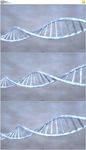旋转的dna