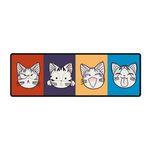 彩色猫头