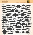 鱼类剪影矢量图