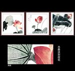 荷花图