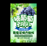 葡萄