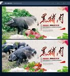 黑猪肉