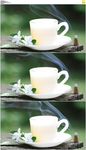 香薰茶