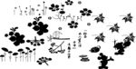 花纹图片