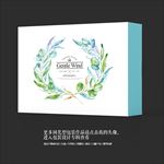 素食主义外卖高档礼盒设计