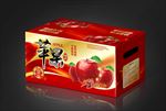 苹果包装平面图