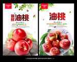 油桃