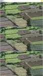 农业挖地种田