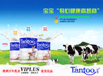 澳洲坦图TANTOO奶粉吊旗
