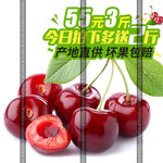 275主图樱桃设计描述