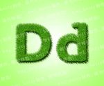 绿色草地英文Dd