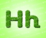 绿色草地英文 Hh