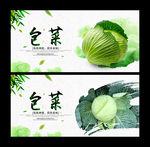 包菜