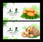 土豆