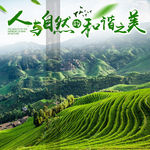 312主图龙脊山游设计描述