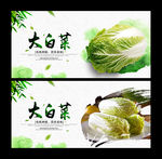 大白菜