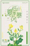 低价风暴