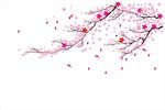 飘落的樱花