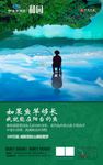 高端地产海报山湖大盘