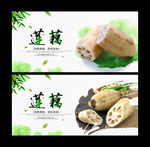 莲藕