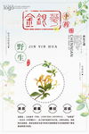 金银花