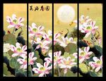 国画荷花