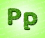 绿色草地英文 Pp