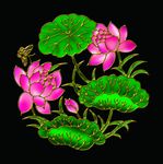 蝴蝶与荷花