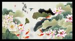 荷花九鱼图