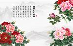 国色天香牡丹花