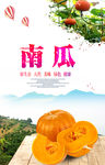 南瓜