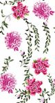 手绘花