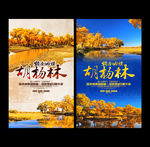 额济纳 胡杨林