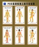 人体穴位挂图