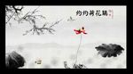 水墨荷花