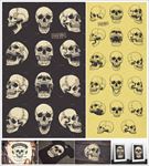 手绘头骨骷髅头服饰印花