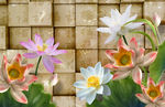 3d荷花背景墙