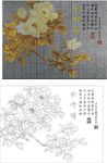 牡丹颂