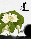 水墨莲花