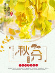 黄色水墨风二十四节气之秋分创意