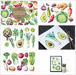 手绘蔬菜水彩画