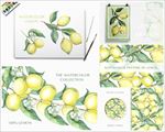 手绘柠檬水彩画