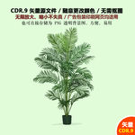手绘棕榈植物散尾葵树苗矢量图