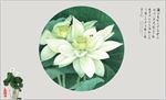 中式白色荷花沙发背景墙入户玄关