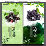 桑椹