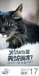 笨蛋