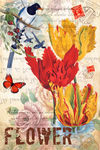 花卉装饰画